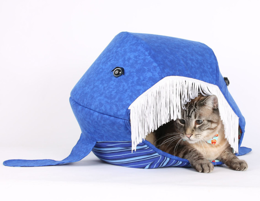 Blauwal trifft Osterlämmchen » Katzenblog.de - Blog über Katzen und ...