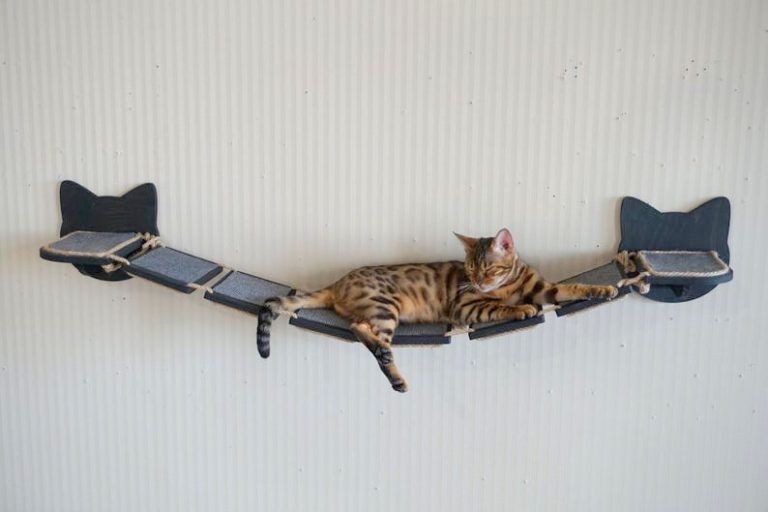 Katzenleiter & Brücke Aus Sisal – Klettergerüst Für Wand Oder Käfig (101,6 Cm)