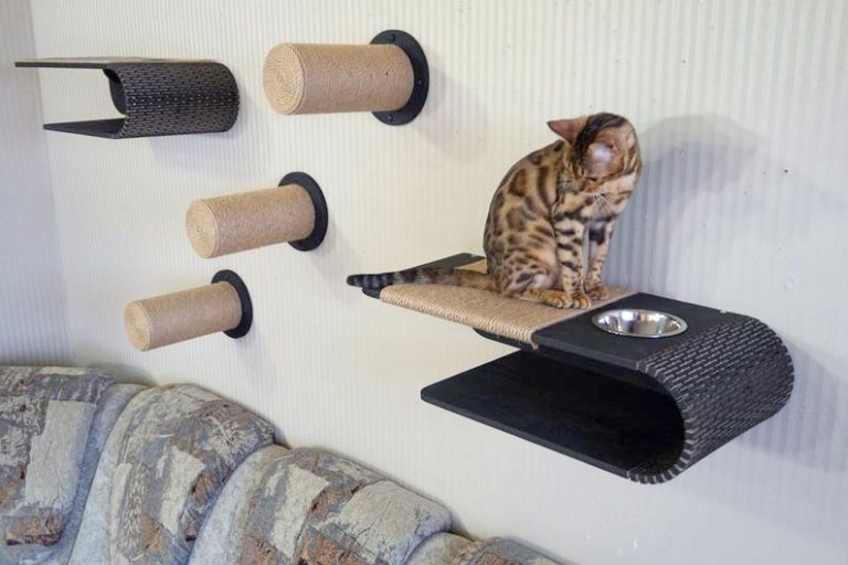 Katzenleiter & Brücke Aus Sisal – Klettergerüst Für Wand Oder Käfig (101,6 Cm)