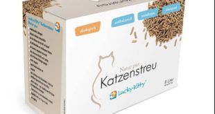 Katzenstreu für Allergiker natuerlich