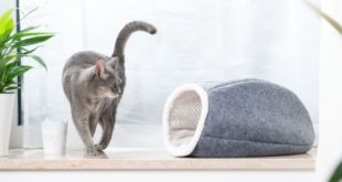 Katzenhoehle Katzenschlafsack